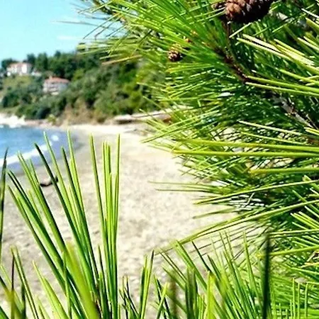 Vilă Executive Skiathos 3 Bedrooms King Alexander Sea Views